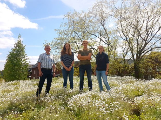 regelink ecologie landschap flexteam